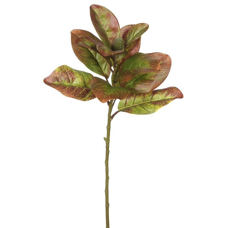 Artificial Single Magnolia Leaves (Pk/3) Autumn - Vickerman | Target