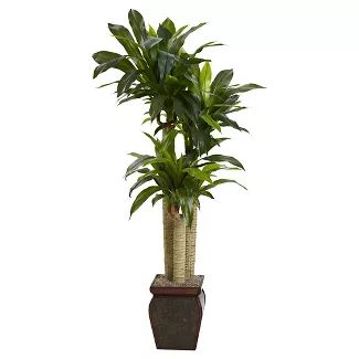 Nearly Natural 4.5' Cornstalk Dracaena Silk Plant with Vase (Real Touch) | Target