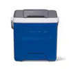 Igloo INDIGO BLU.WHT.MET.WHT 12 Quart(s) Hard Insulated Personal cooler Lowes.com | Lowe's