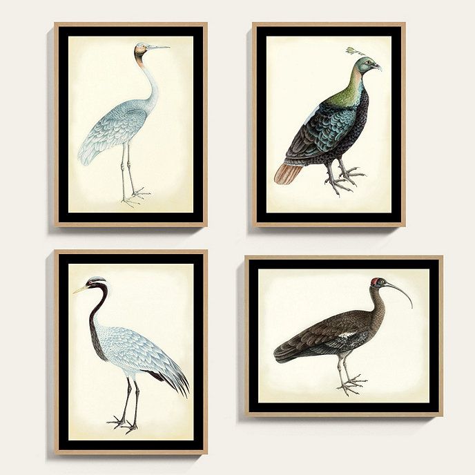 Bunny Williams Bird Oak Framed Print Art Series | Ballard Designs, Inc.