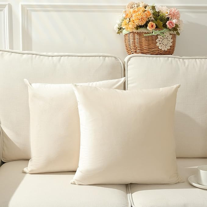Stellhome Pack of 2, Soft Velvet Throw Pillow Covers Square Decorative Cushion Covers, Home Decor... | Amazon (US)