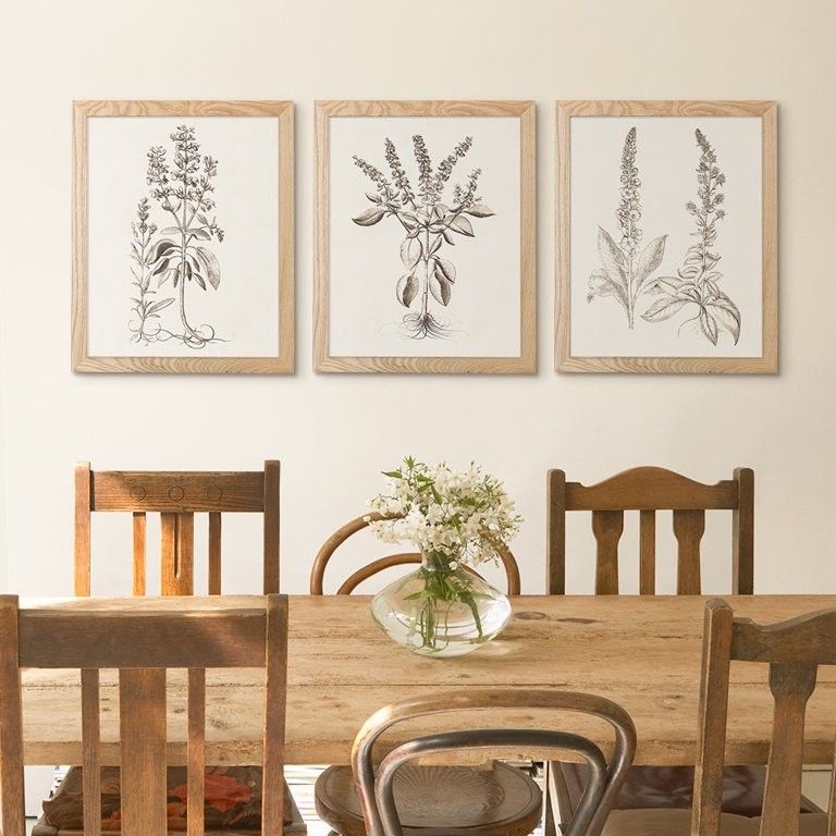 My Texas House - Sepia Besler Botanicals, Framed Wall Art, Print Set - 11x14 | Walmart (US)