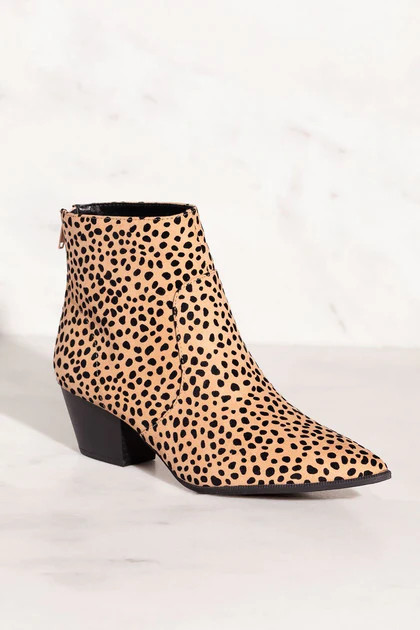 Go Wild Leopard Print Pointed-Toe Booties | Shop Priceless