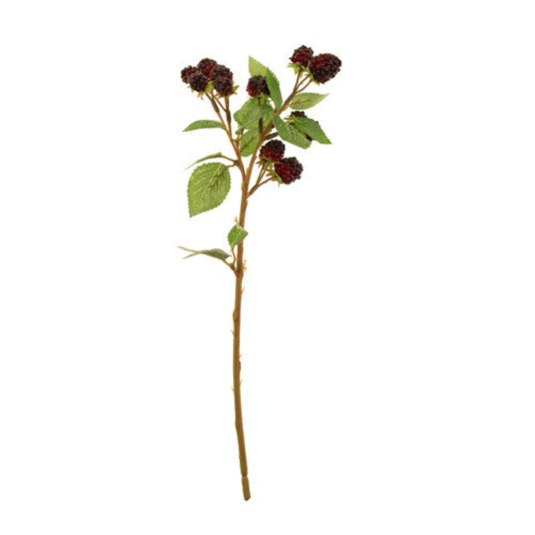 Artificial Autumn Raspberry Spray 39cm Black - Etsy | Etsy (US)