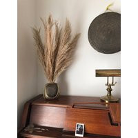Pampas Grass 10 stems (Natural Dried) | Etsy (US)