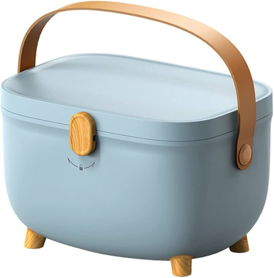 BigKing Oval Medicine Storage Box, Plastic Medicine Storage Box Oval Double Layers Multi Grid Large  | Amazon (US)