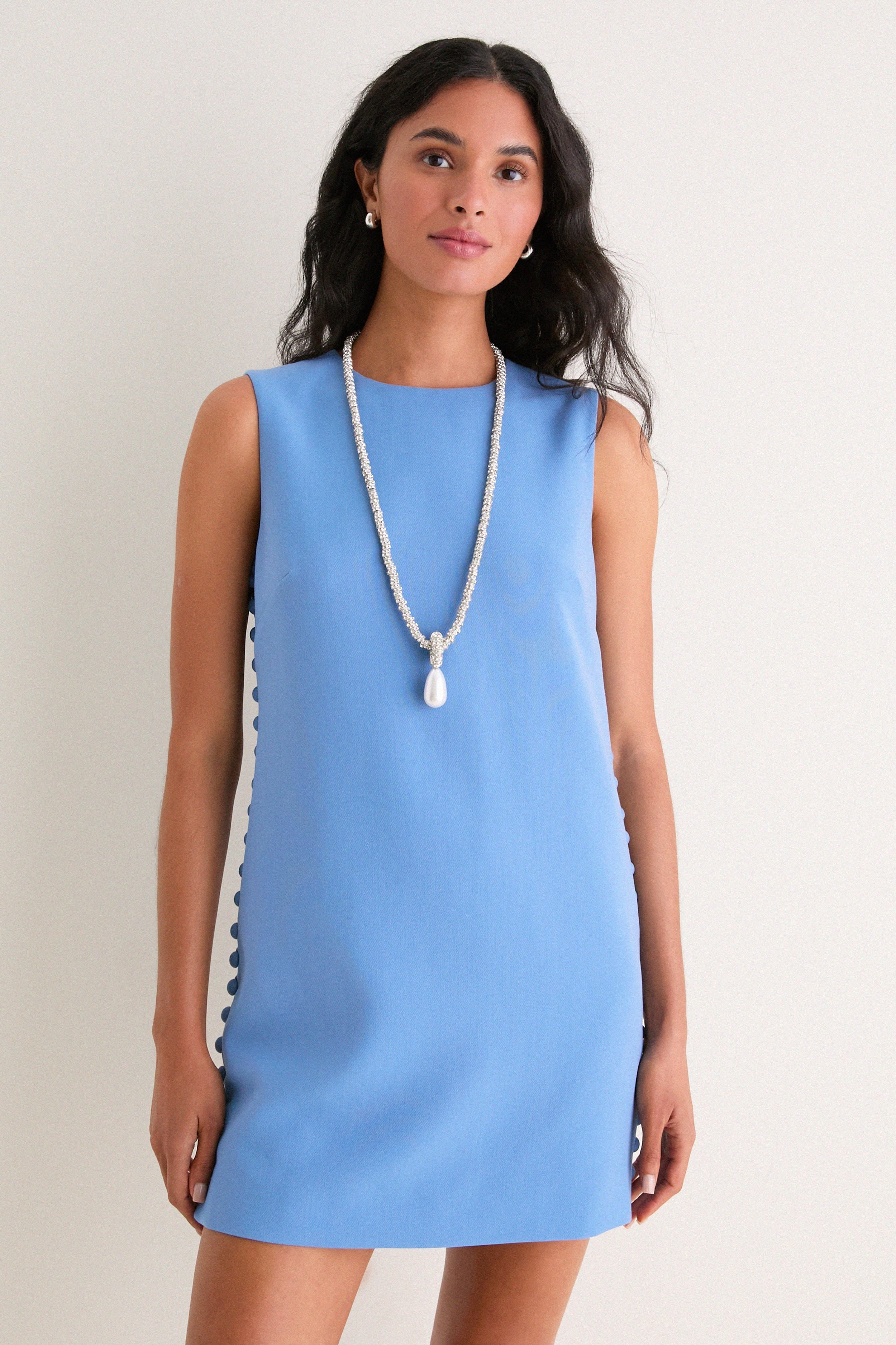 Allure Camille Mini Dress | Tuckernuck (US)
