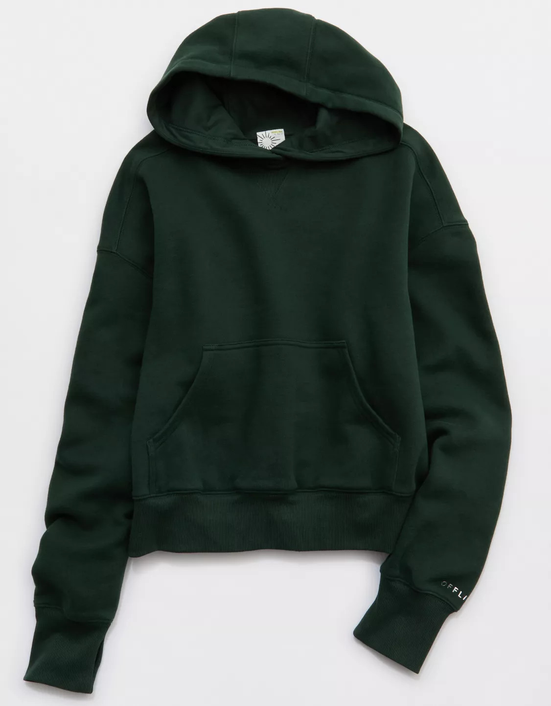 OFFLINE By Aerie Cloud Fleece Classic Length Hoodie | Aerie