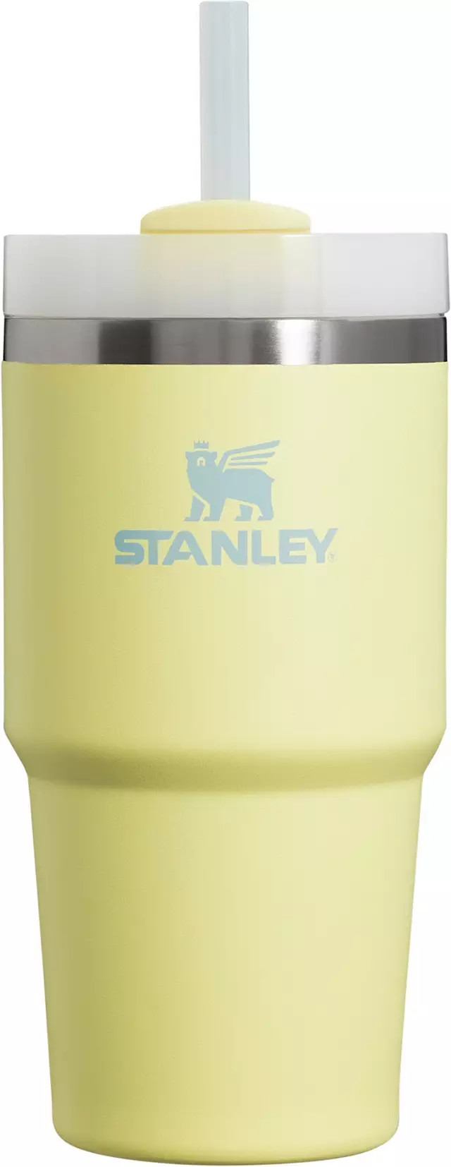 Stanley 20 oz. Quencher H2.0 FlowState Tumbler | Dick's Sporting Goods | Dick's Sporting Goods