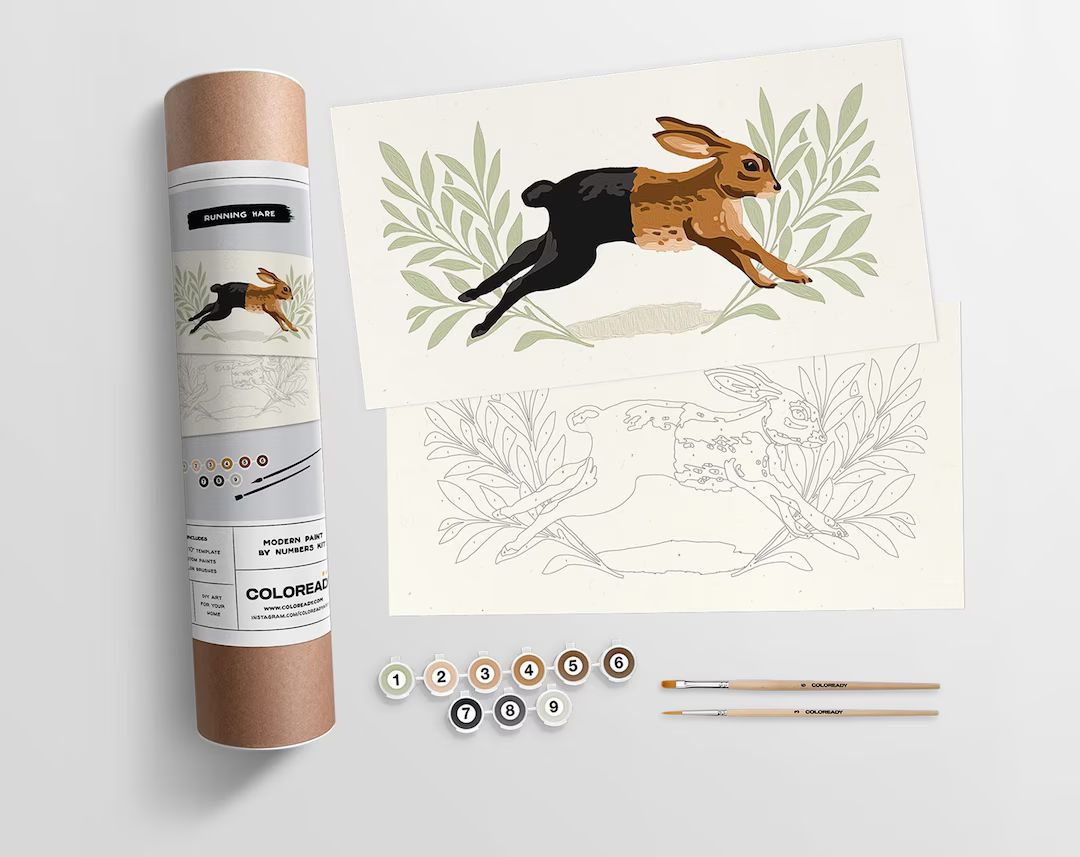 Running Hare Modern Paint by Numbers Kit - Etsy | Etsy (US)