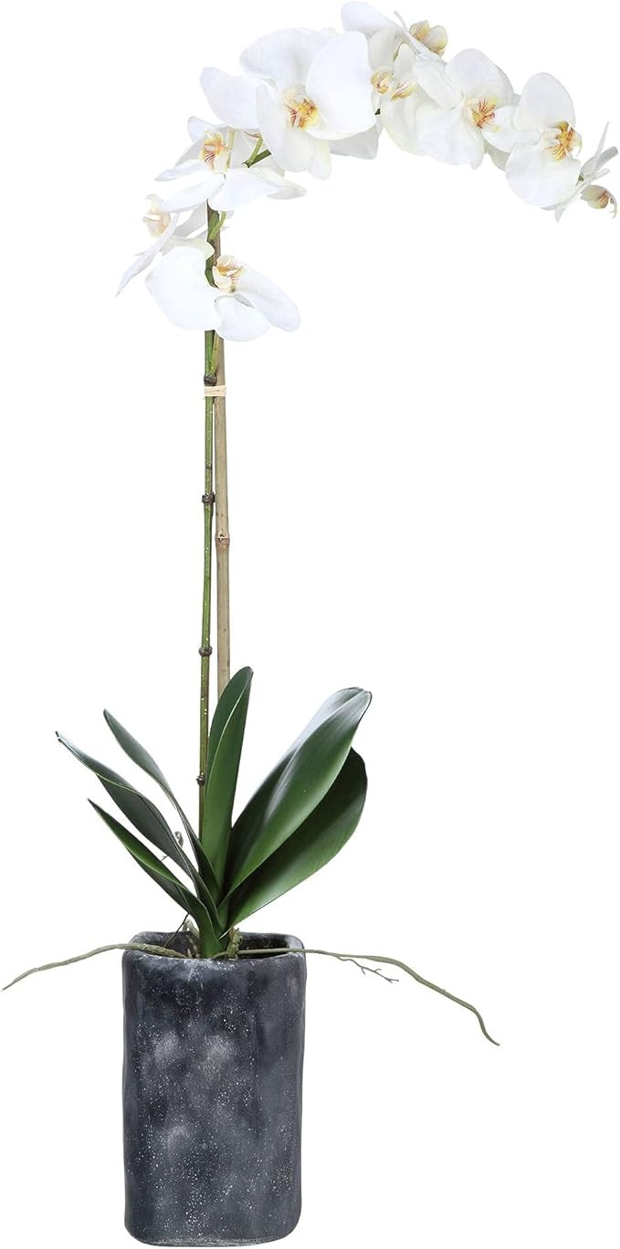 Uttermost Eponine White Orchid 34 1/4" H Faux Flower in Gray Planter | Amazon (US)
