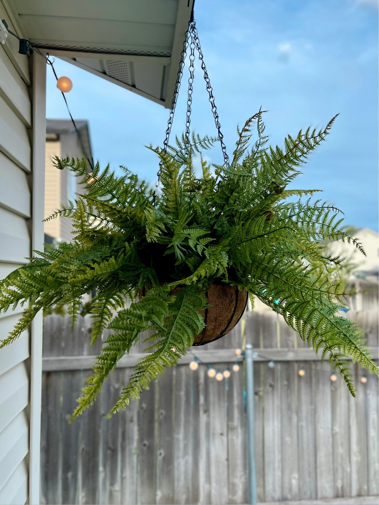 DIY realistic artificial Boston ferns. I wouldn’t buy any of the faux Boston ferns out there, these sprigs are the only ones I’ve found that look realistic to me! Don’t forget to spray them with UV protectant 🙌🏼

#LTKSeasonal