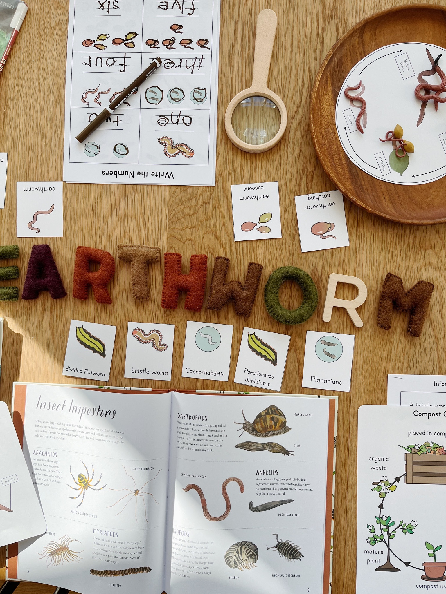 Earthworms 🪱