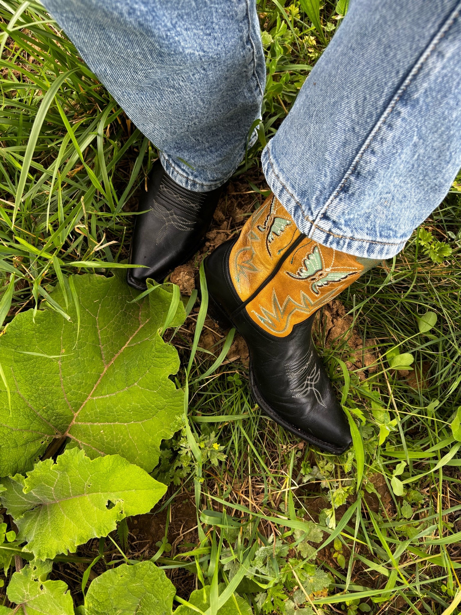 Breaking these bad boys in today! @Wrangler

#LTKootd #LTKmomlife #LTKselfcare