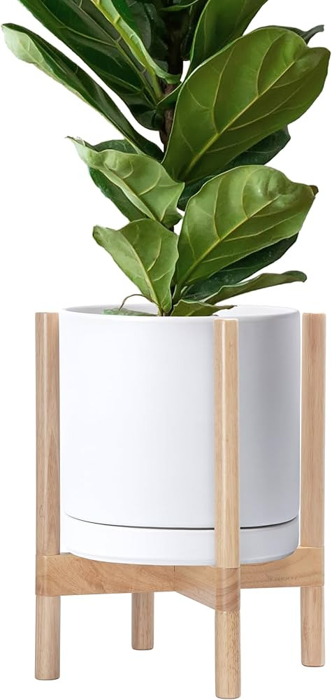 D'vine Dev Ceramic Planter with Natural Stand - 12 Inch Modern Round Flower Pot with Wood Planter... | Amazon (US)