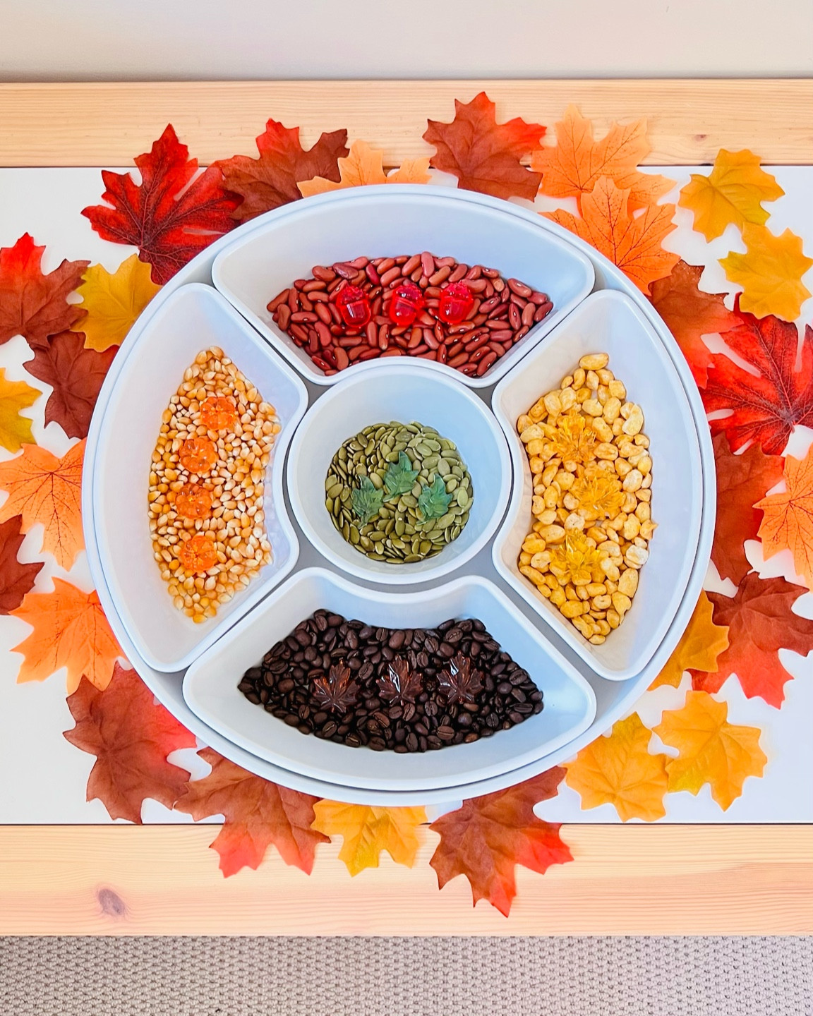 Fall sensory bases! #sensoryplay

#LTKSeasonal #LTKkids #LTKfamily