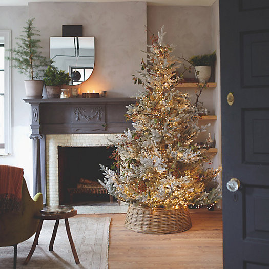 Faux Pre-Lit Snowy Norway Spruce | Terrain