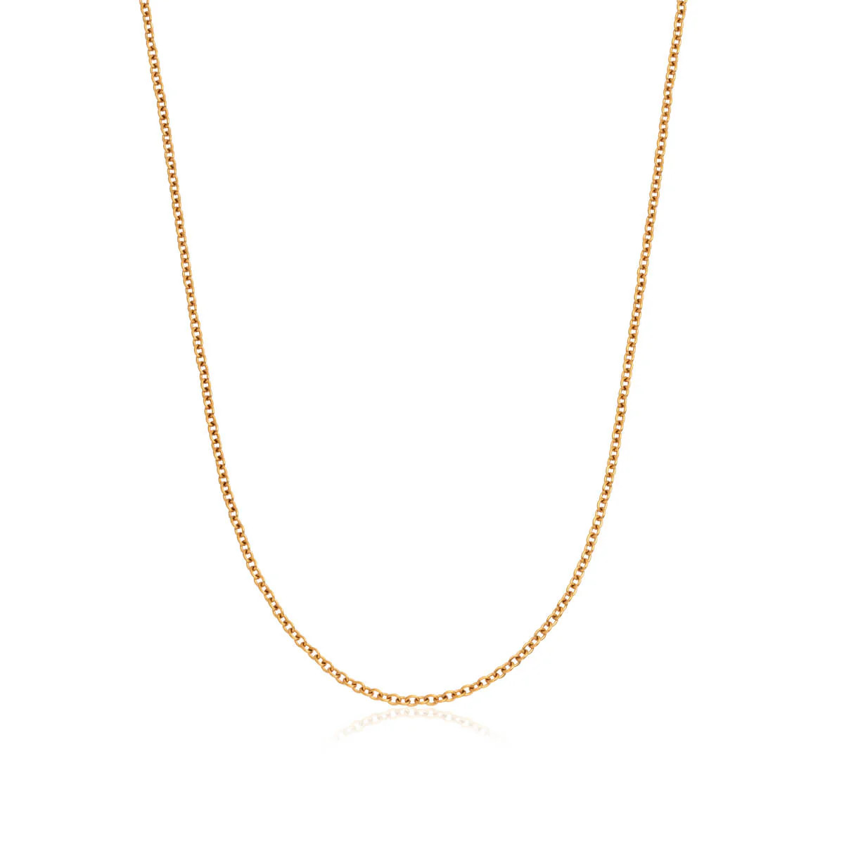 Fine Chain Necklace (Gold) | Abbott Lyon