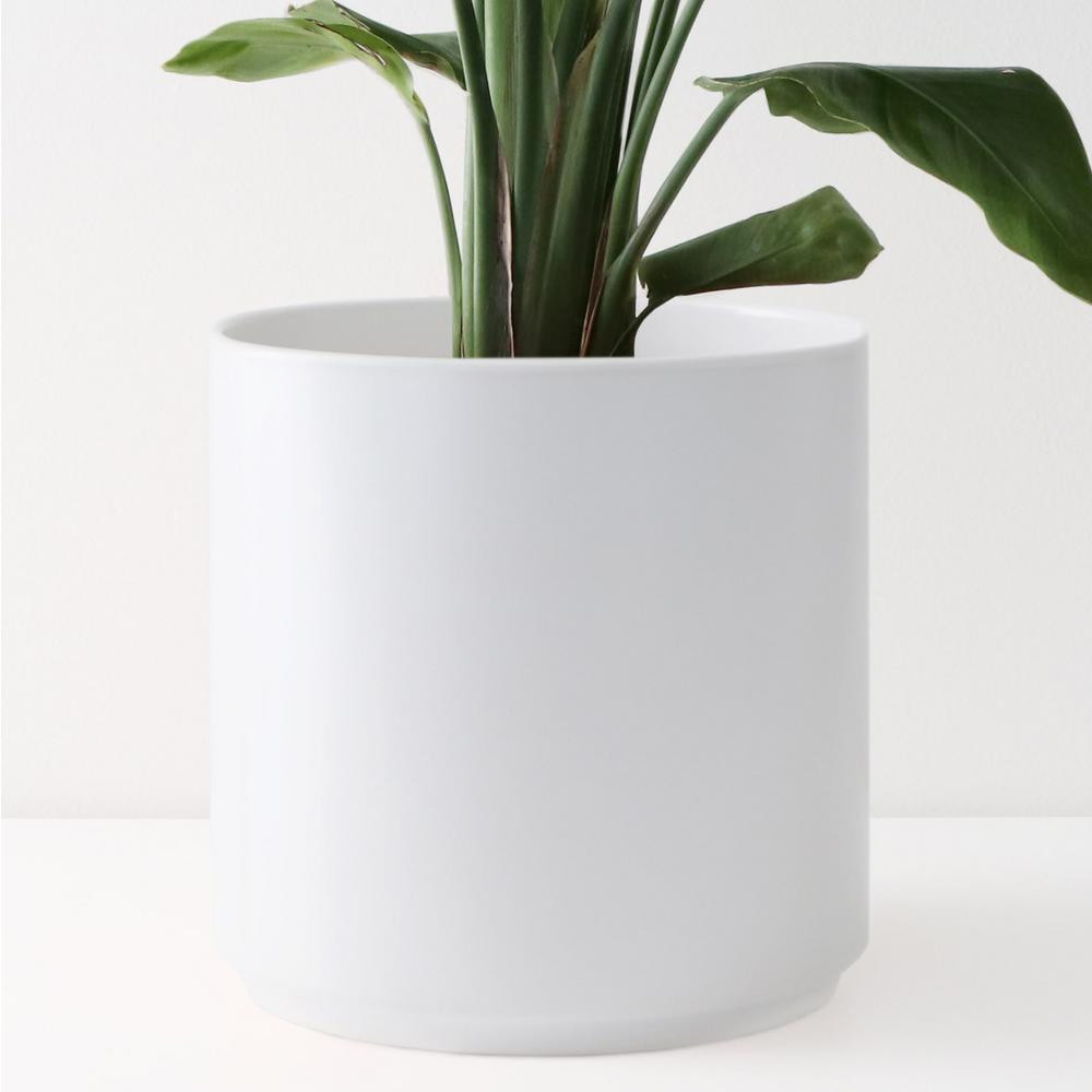 12 in. White Ceramic Indoor Planter (7 in. to 12 in.) | The Home Depot