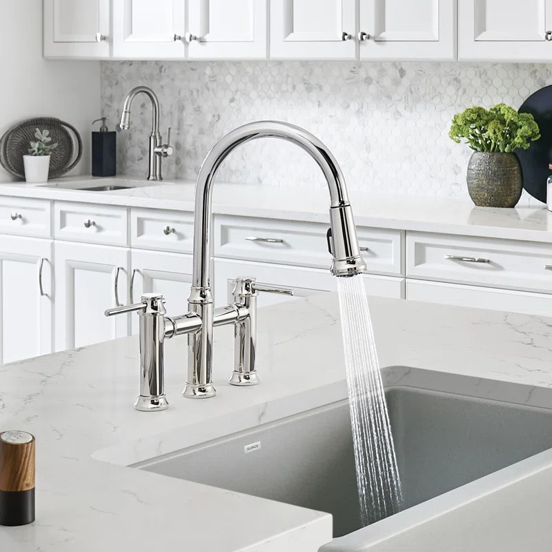 Empressa Pull Down Bridge Faucet | Wayfair North America