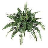 Nearly Natural 40IN Artificial Boston Fern Large Hanging Plant, Set of 2 Artificial Ferns that Lo... | Amazon (US)