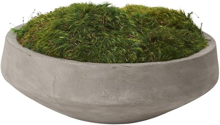 Pemberly Row Contemporary Preserved Mood Moss in Grey Newport Bowl | Amazon (US)