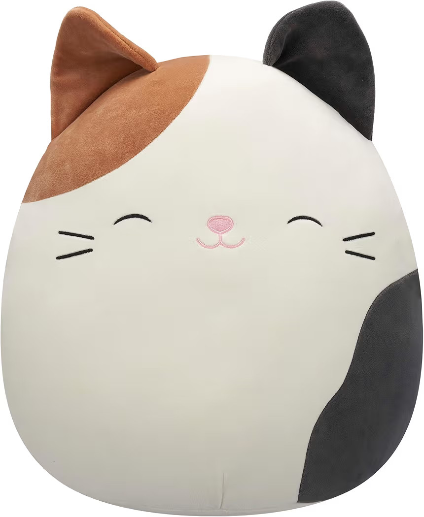 Squishmallows 14-Inch Cam Calico Cat, Large Plush Jazwares | Amazon (US)