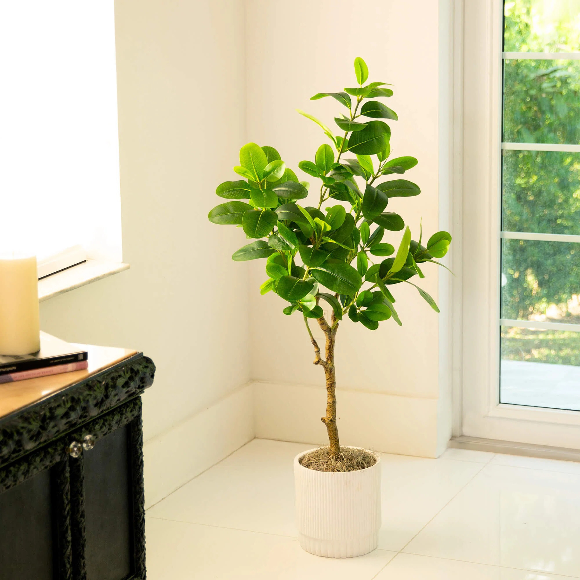 Ophelia & Co. 7ft. Artificial Audrey Ficus Tree | Wayfair | Wayfair North America