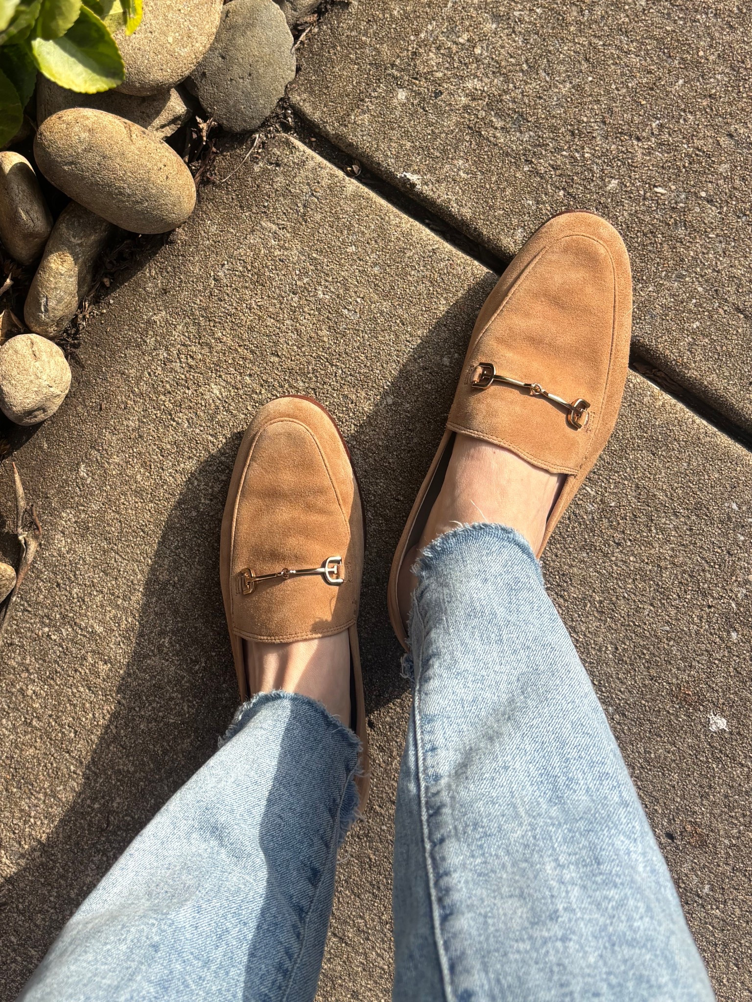 My search for the perfect loafer is over because I finally found these. Comfy out of the box, no blisters, and the perfect color 💖

#LTKOver40 #LTKmomlife #LTKootd