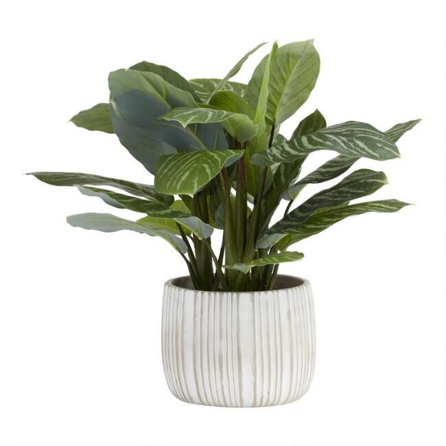 Faux Philodendron Birkin Plant in White Striped Pot | World Market
