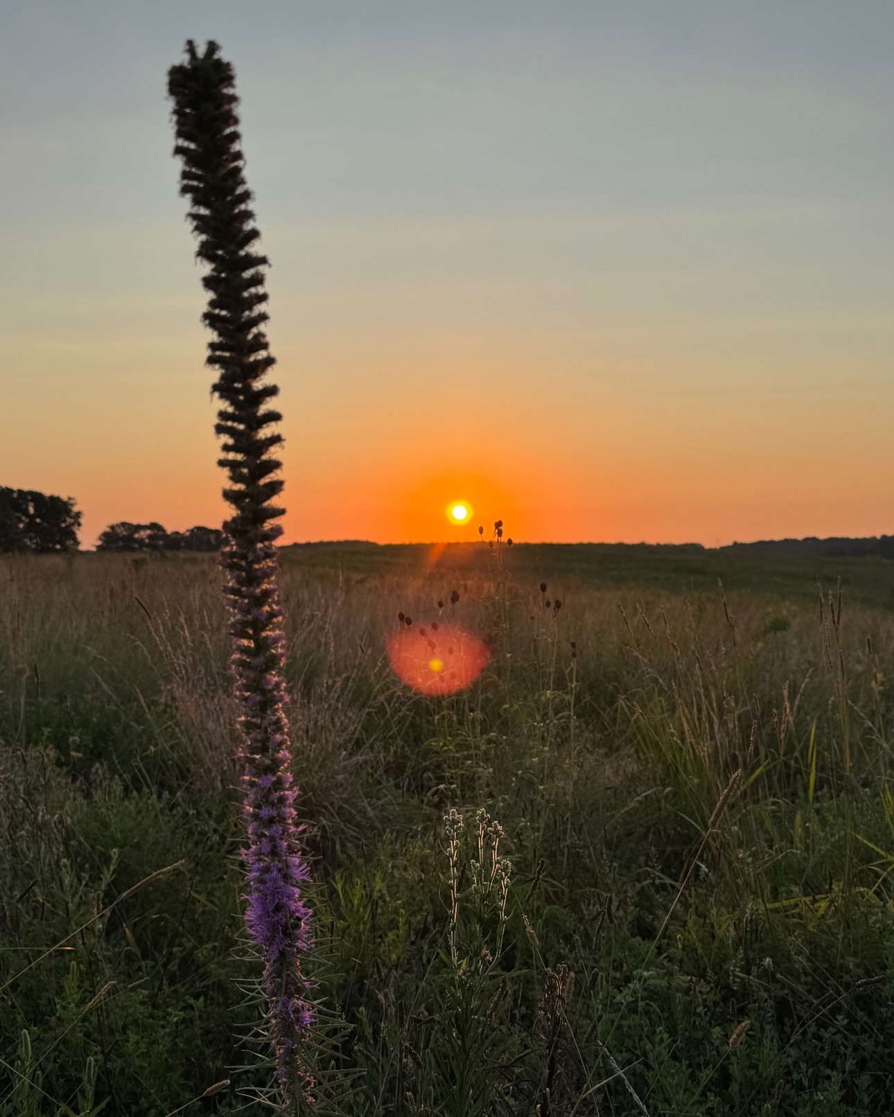 farm sunsets 🌅

#LTKPets #LTKHome #LTKautumn