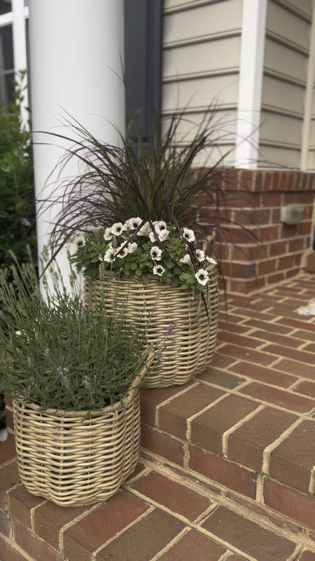 Wicker basket planters for your patio or porch!

Rounded up my favorite outdoor planters that have liners!

Patio season | porch decor | Walmart home find | Wayfair find | Amazon home 

#LTKHome #LTKSeasonal #LTKVideo