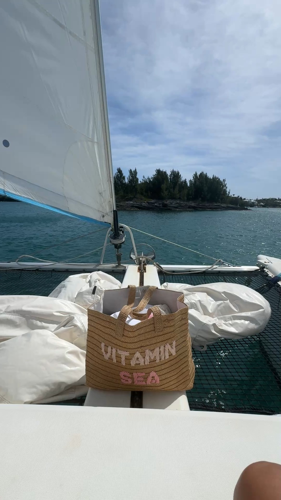 This Vitamin Sea tote is the perfect vacation bag 🌊

#LTKTravel #LTKItBag #LTKSwim