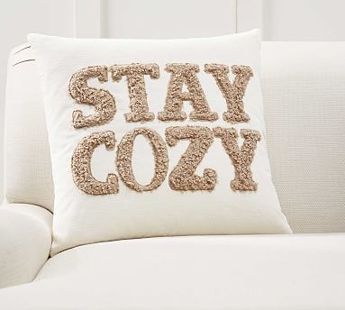 Stay Cozy Teddy Faux Fur Applique Pillow Cover | Pottery Barn (US)