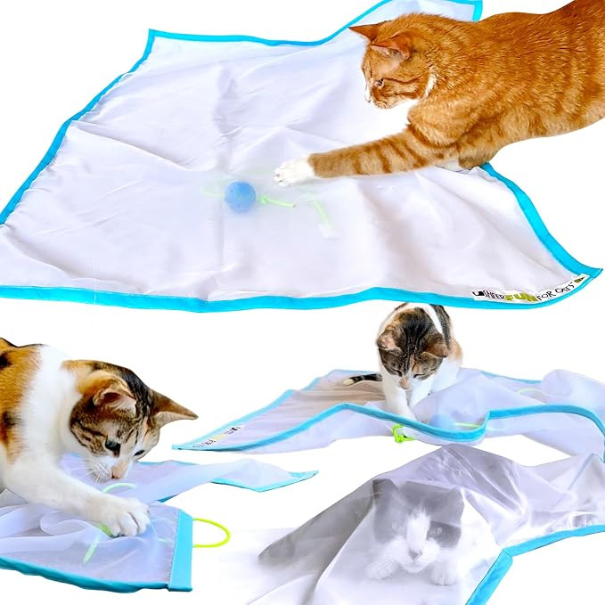Toy, Renews Old Toys, Engages Hunting Instincts, Made in USA, Ball, Versatile, Quiet, Crinkle Edg... | Amazon (US)
