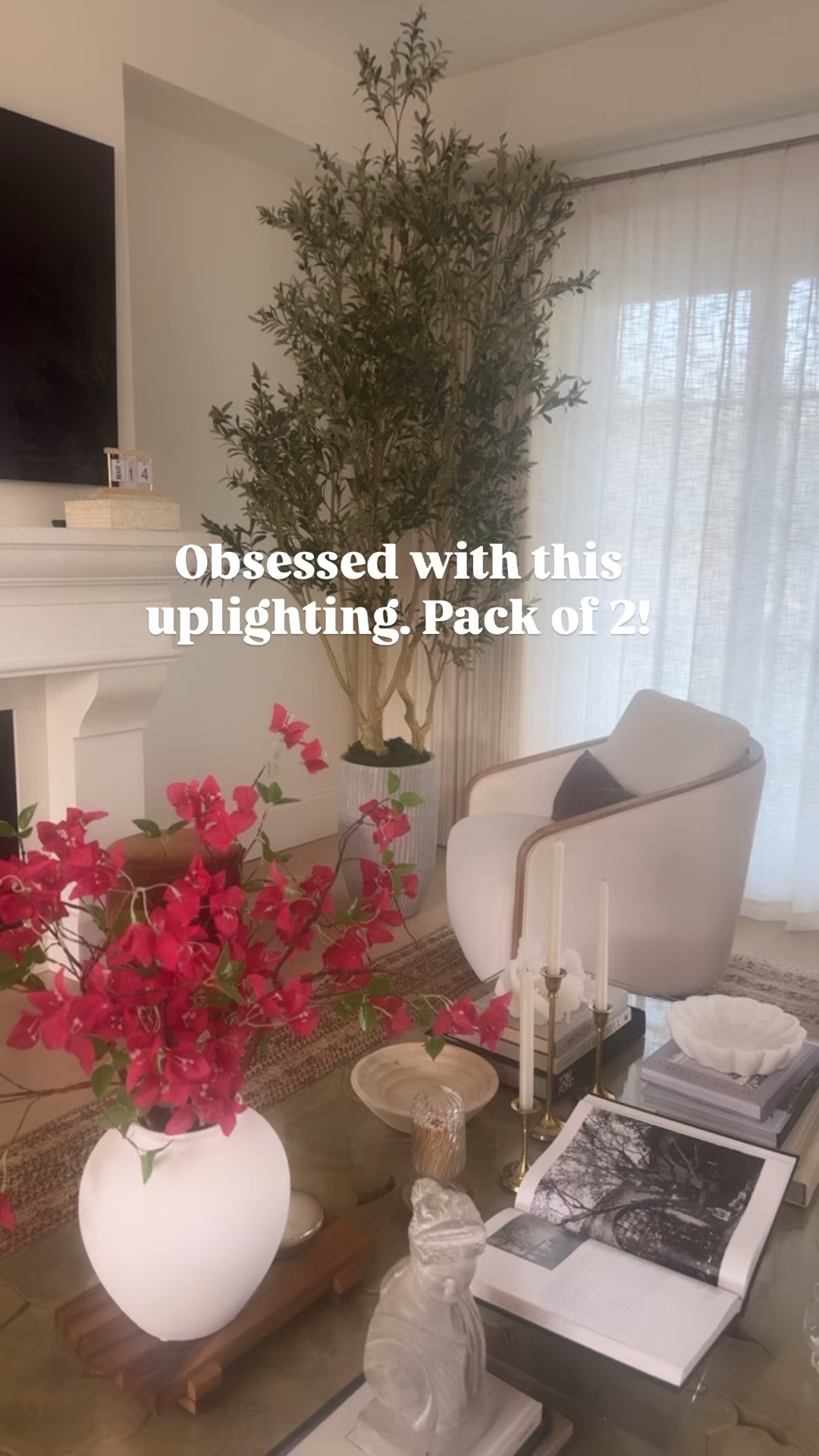 Olive tree + planter + uplighting = instant living room facelift #ltkhome #amazonhome 
