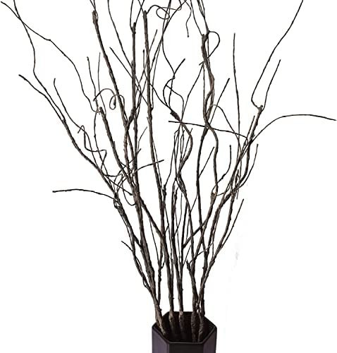 FeiLix 5PCS Artificial Curly Willow Branches, Decorative Dry Twigs, 30.7 Inches Fake Bendable Sti... | Amazon (US)