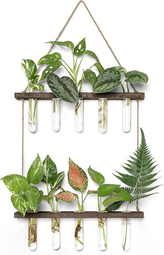 Mkono Plant Propagation Tubes, 2 Tiered Wall Hanging Plant Terrarium with Wooden Stand Mini Test ... | Amazon (US)