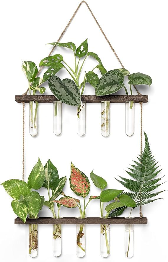 Mkono Plant Propagation Tubes, 2 Tiered Wall Hanging Plant Terrarium with Wooden Stand Mini Test ... | Amazon (US)