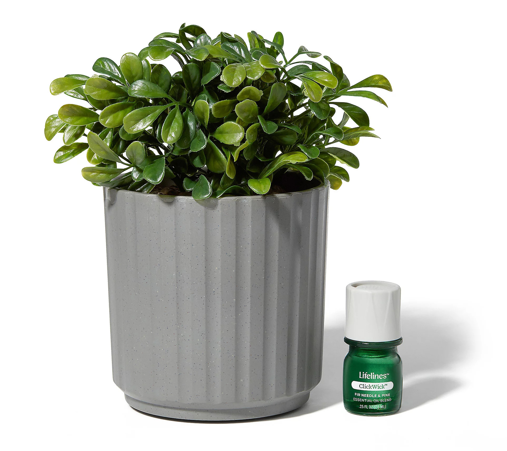 Lifelines Rechargeable Faux Plant Aroma Diffuser | QVC