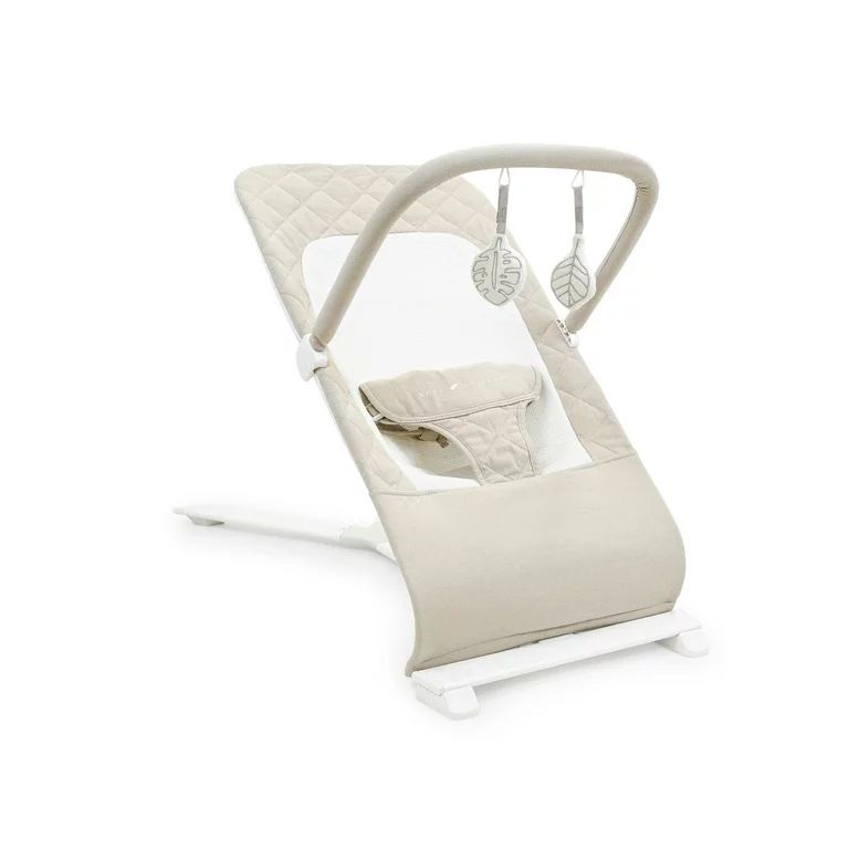 Baby Delight Alpine Deluxe Portable Infant Bouncer - 100% GOTS Certified Organic Cotton Fabric, O... | Walmart (US)