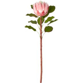 protea stem | CB2