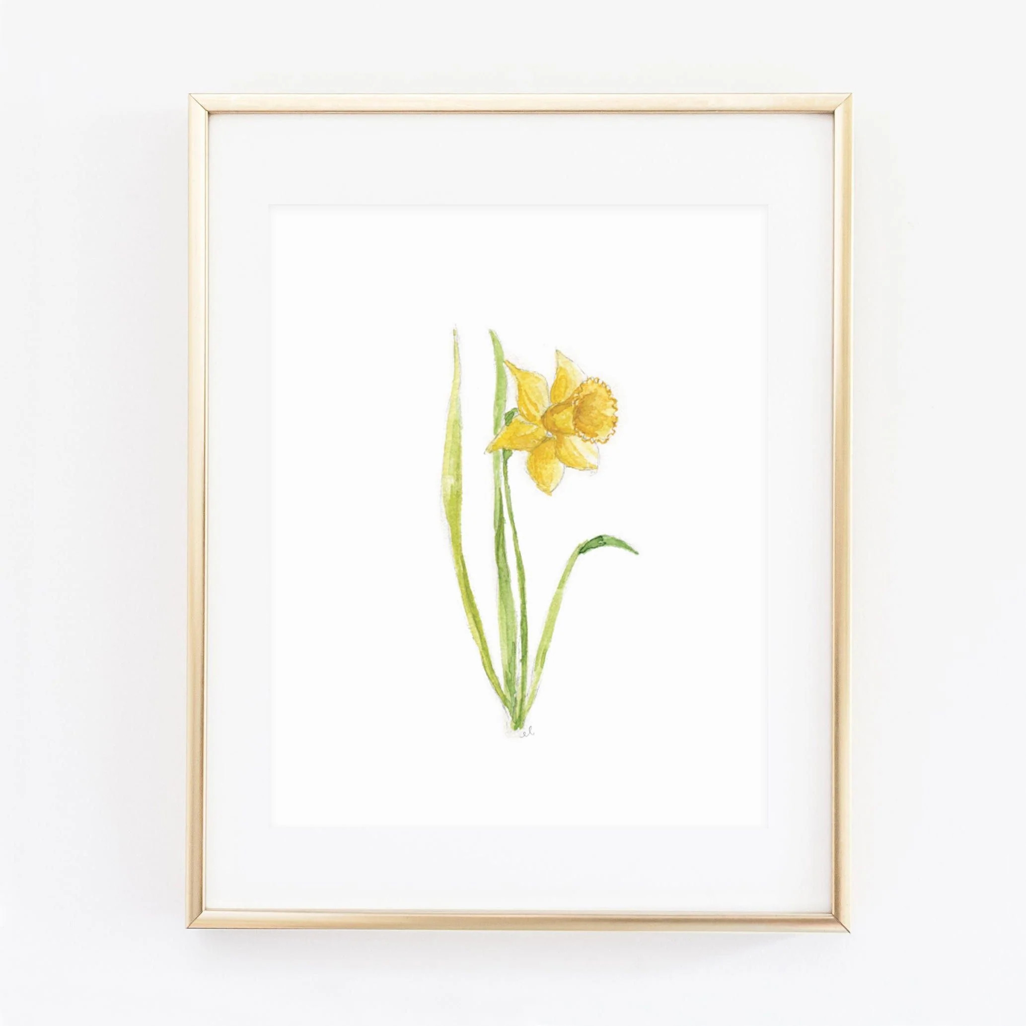 daffodil art print | Emily Lex Studio