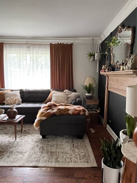 Living room decor and rug

#LTKhome #LTKstyletip
