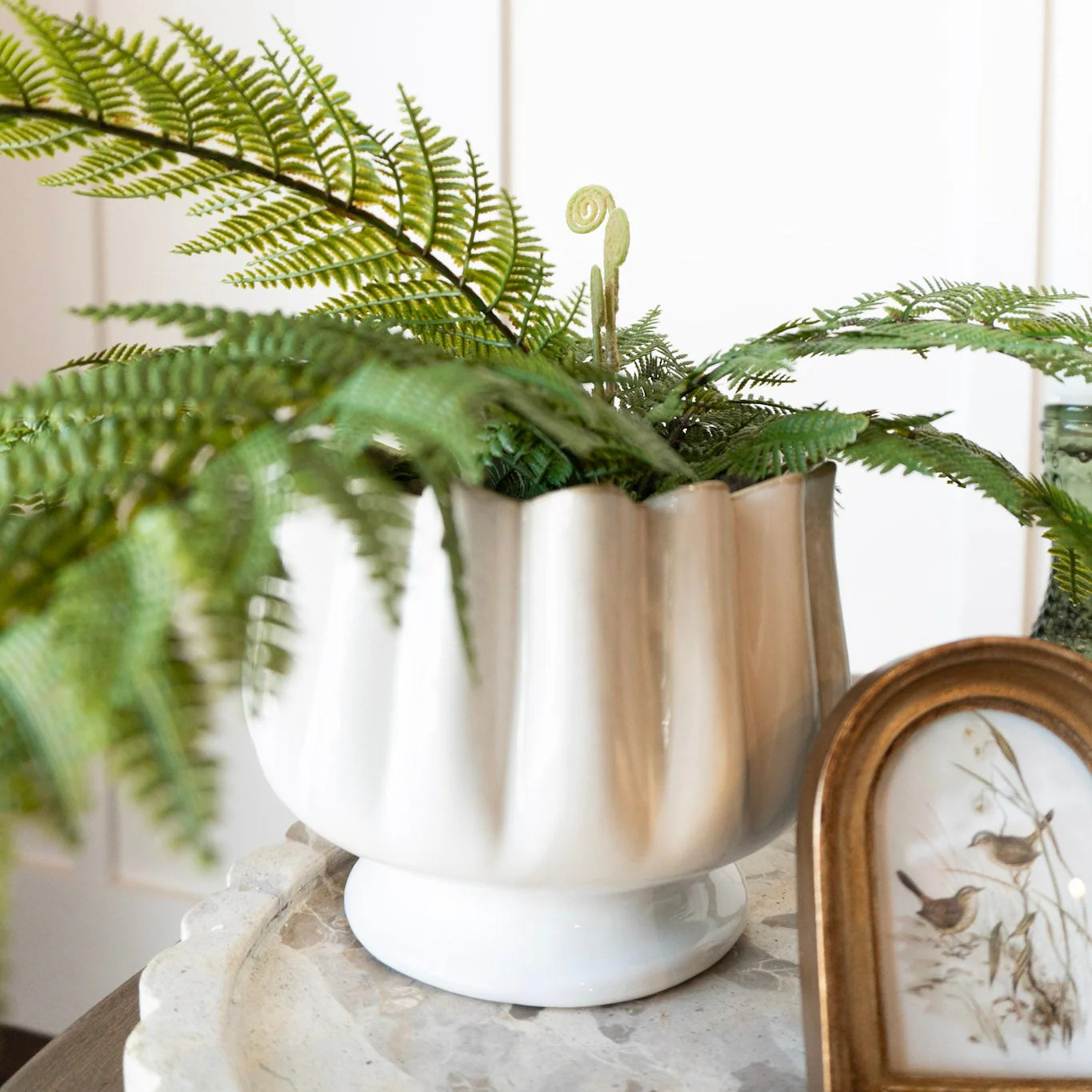 Tulipa Compote | Eco Chic Home