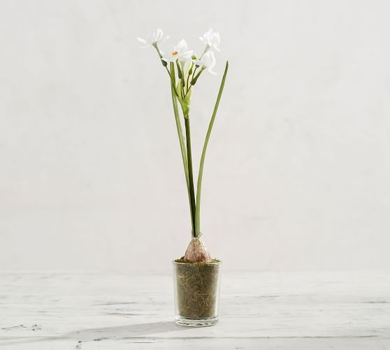 Mini Faux Paperwhite Arrangement, Large | Pottery Barn (US)
