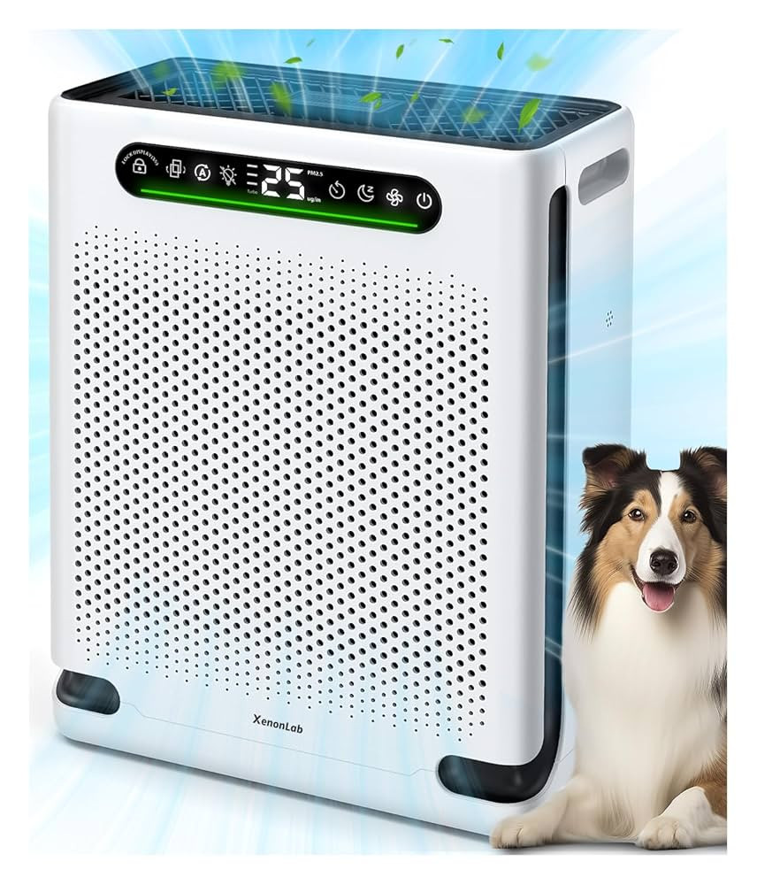 Air Purifiers for Home Large Room Up to 2600 Ft², HEPA Air Purifier with Washable Filter & Air Q... | Amazon (US)