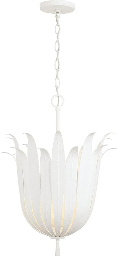 Capital Lighting 349542XW Eden Traditional Bohemian Botanically Inspired Pendant Ceiling Light Fi... | Amazon (US)