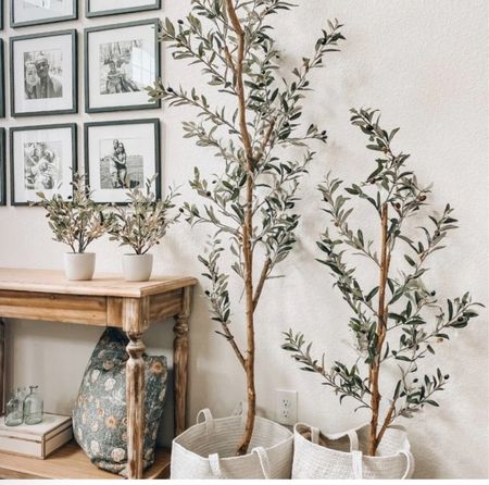 Home decor on SALE! Nearly natural trees are on SALE today! I’m purchasing these in my newly renovated midcenturymodern home to add the perfect amount of color!! 🌿
.
Trees, midcenturymodern, transitional home, accessories, plants, greenery, home, family, home, decor, 
.
.

#LTKGiftGuide
#LTKCon
#LTKSeasonal
#LTKSale
#LTKHoliday
#LTKVideo
#LTKHalloween
#LTKhome
#LTKU
#LTKsalealert
#LTKover40
#LTKmidsize
#LTKparties
#LTKfindsunder50
#LTKfindsunder100
#LTKbeauty
#LTKstyletip
#LTKfitness
#LTKplussize
#LTKworkwear
#LTKshoecrush
#LTKbump
#LTKmens
#LTKbrasil
#LTKswim
#LTKitbag
#LTKkids
#LTKwedding
#LTKaustralia
#LTKtravel
#LTKbaby
#LTKfamily
#LTKeurope
#LTKAsia

#LTKwedding #LTKGiftGuide #LTKHolidaySale