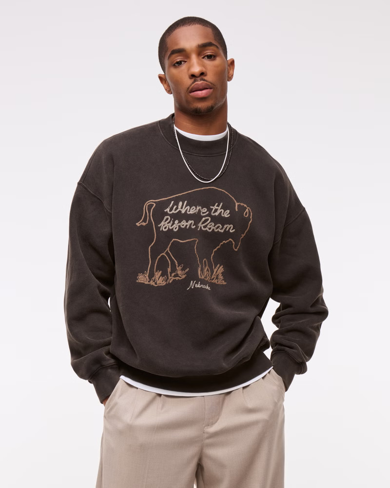 Western Graphic Popover Hoodie | Abercrombie & Fitch (US)